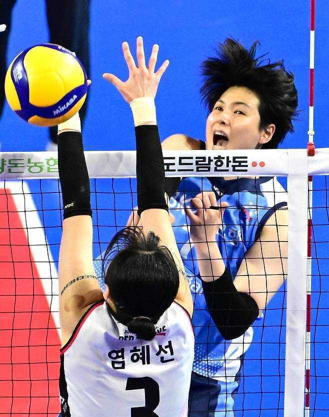 기업은행 선수 시절 스파이크하는 김희진 [한국배구연맹 제공. 재판매 및 DB 금지]