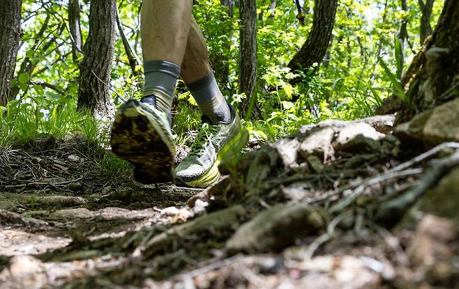 제왕산 숲길을 달리는 트레일 러너