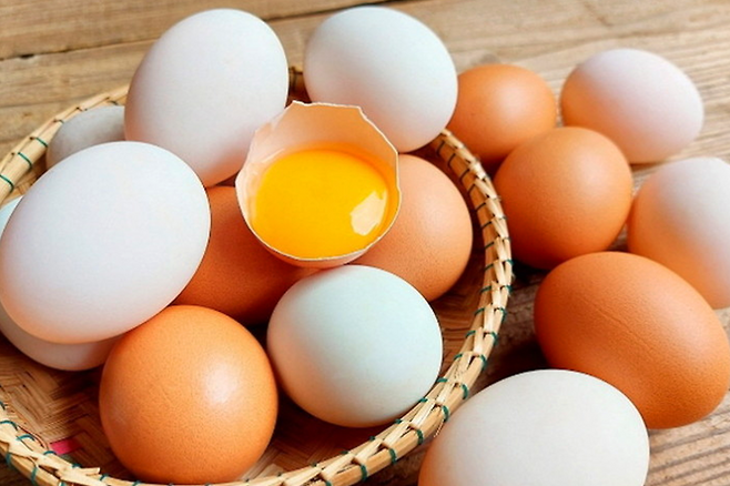 달걀