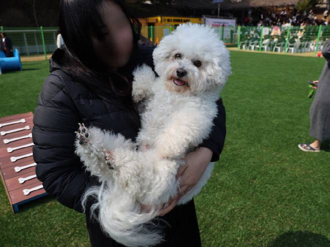 동구 반려동물 놀이터.사진=김주혜 기자