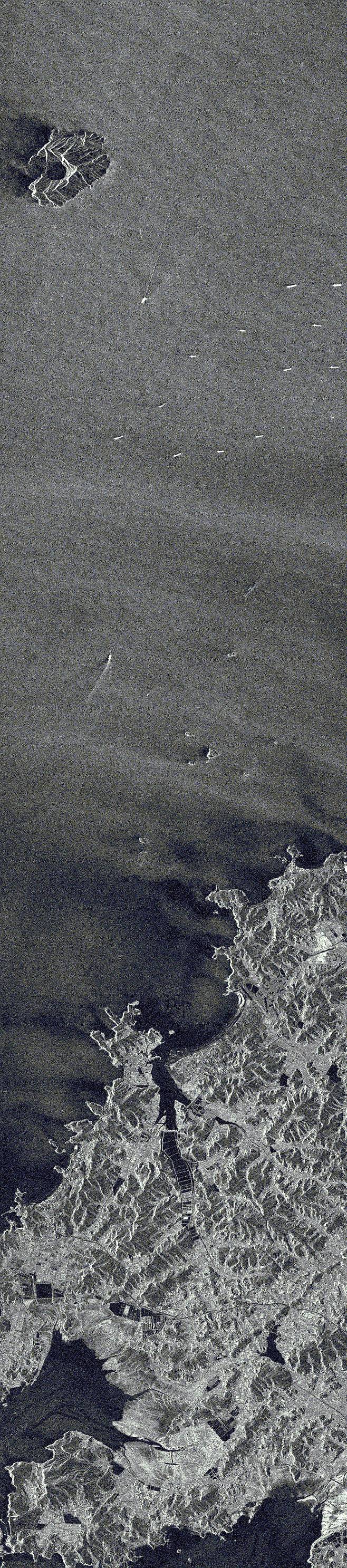 신두리해안사구_충남 태안군 태안해안국립공원