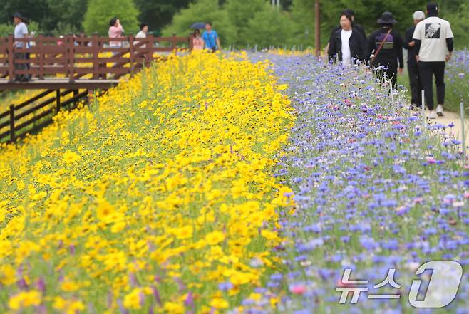 자료사진/뉴스1 ⓒ News1