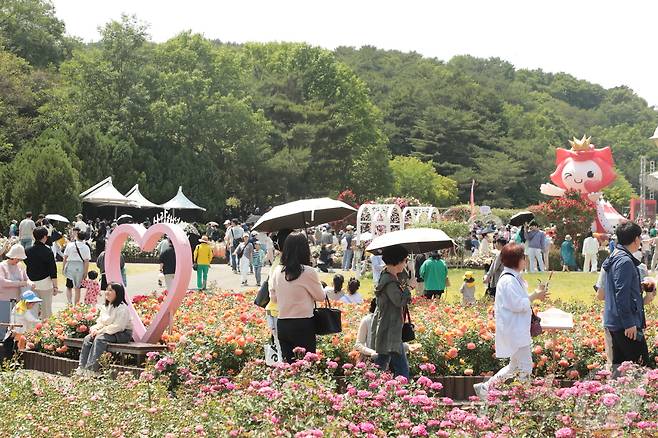 ‘2025 울산대공원 장미축제'의 마지막 날을 맞은 25일 오후 울산대공원 장미원. 무더운 날씨에 시민들이 양산을 쓰고 있다. 2025.5.25/뉴스1 ⓒ News1 김세은 기자