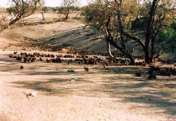 3fedef76da8468f651eb87e129c6726d4e1321e016bbb5fcabf6452fd73474118999b69003616ab1e7b3