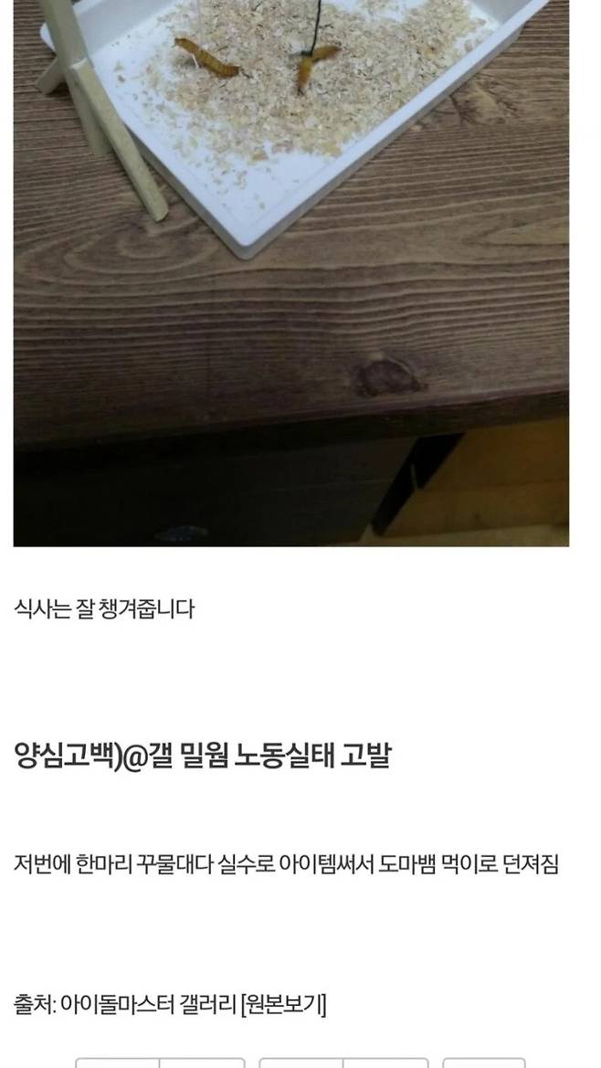 1000008034.webp.ren.jpg 어느 디시갤러의 게임 오토 프로그램