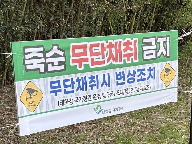 울산 태화강 국가정원에 내걸린 죽순 무단채취 금지 현수막 사진=최수상 기자