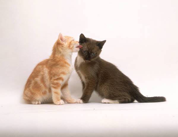 사진=클립아트코리아