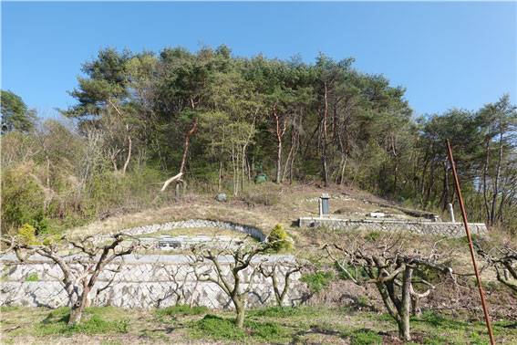 ▲ 김장하 선영 2262