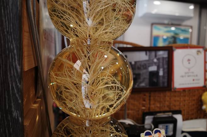 서울 영등포구에 위치한 한성삼계탕의 인삼주. 사진=이준형 블루밍비트 기자