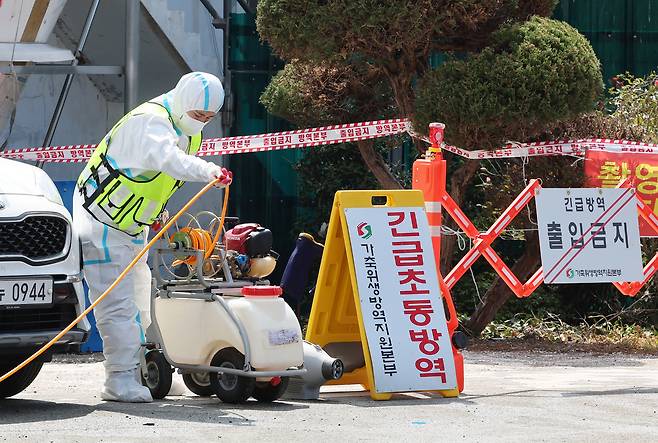 지난 4월 15일 전남 무안군 구제역 발생농장에서 방역본부 관계자가 소독 작업하고 있다. 연합뉴스
