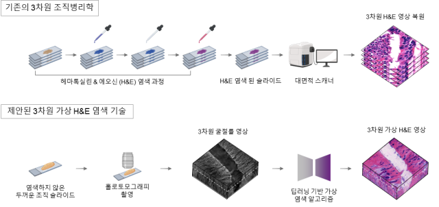 '기존 3차원 조직 병리학 절차와 본 연구에서 개발한 기술의 비교' 설명도.KAIST 제공.