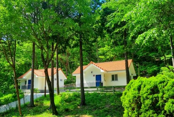 남해편백자연휴양림. ⓒ산림청