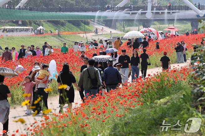 지난 23일부터 25일까지 충북 괴산 동진천변 일원에서 열린 '2025 괴산빨간맛페스티벌'을 찾은 관광객이 북적이고 있다.(괴산군 제공, 재판매 및 DB금지)/뉴스1