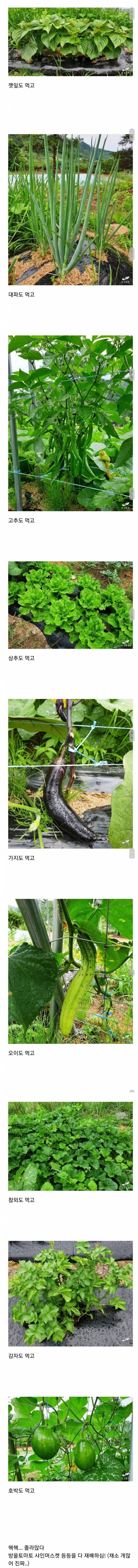 1000016240.jpg 폐교 임대해서 사는 블로거