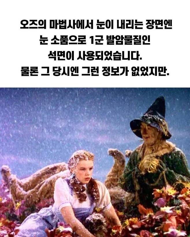 1000016272.jpg 파도파도 괴담만 나오는 오즈의 마법사 영화