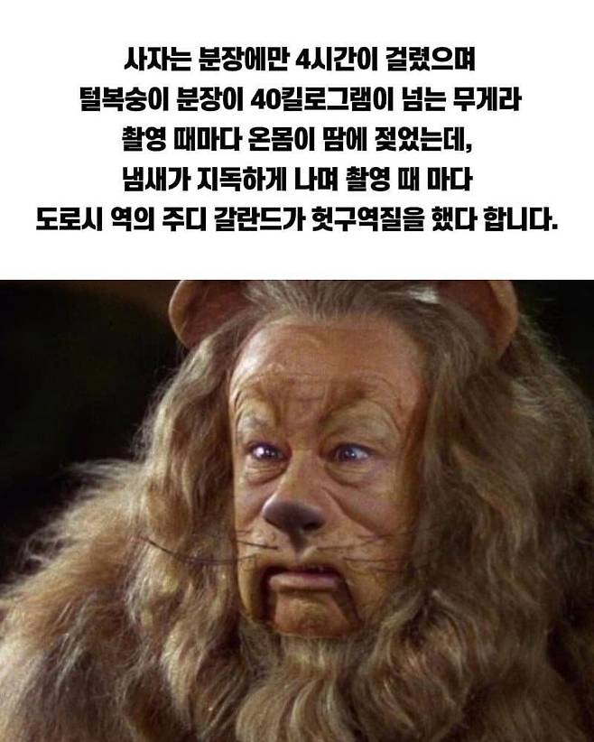1000016276.jpg 파도파도 괴담만 나오는 오즈의 마법사 영화