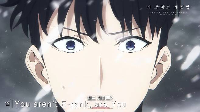 TVA '나 혼자만 레벨업' 스페셜 극장판. 애니플러스 제공