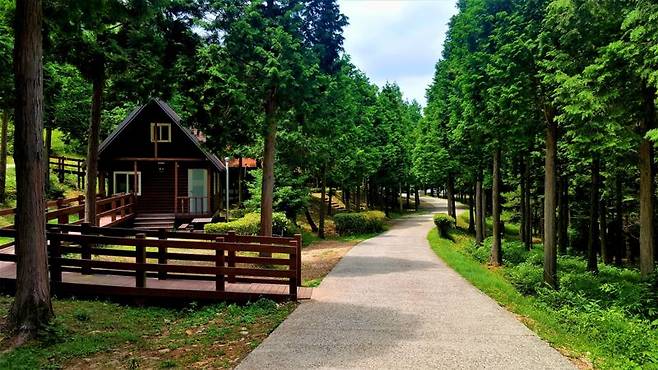 경남 남해 남해편백자연휴양림