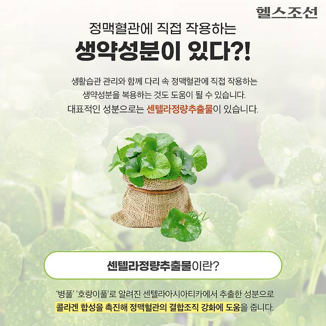 사진=헬스조선DB​​​ ​