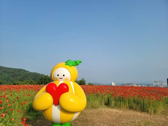 5월의 성주 성산동 고분군 언덕 풍경 [사진=성주군]