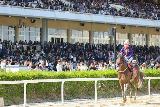 김혜선 기수(36)가 지난 4월 20일 서울에서 열린 YTN배 대상경주에서 우승 후 글로벌히트와 경기장을 돌고 있다. 사진 마사회