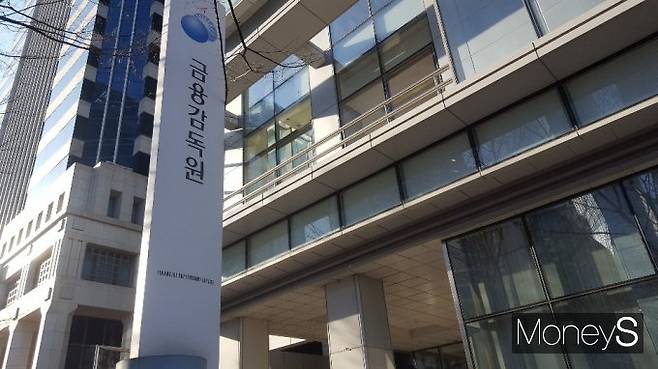 금융감독원이 금융지주·은행 18개사와 대형 금융투자회사·보험사 53개사를 대상으로 사전 컨설팅을 진행했다. 사진은 금융감독원./사진=머니S