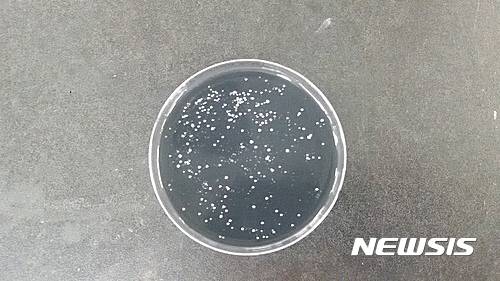 【대구=뉴시스】레지오넬라균 집락(集落)이 형성된 모습. 뉴시스DB. 2025.05.26.  photo@newsis.com