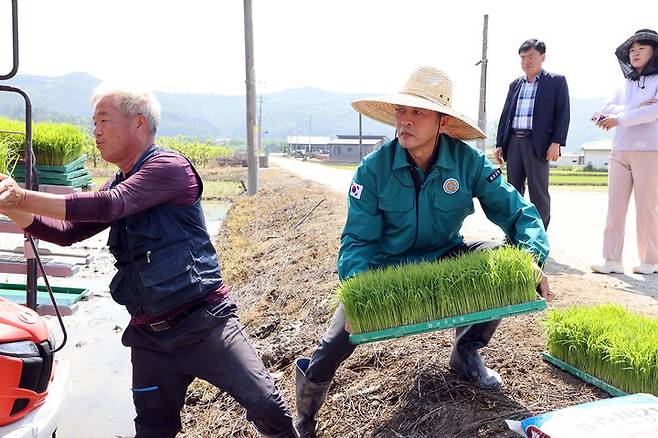 [보은=뉴시스] 26일 최재형(오른쪽) 충북 보은군수와 보은군쌀전업농연합회 회원들이 보은읍 학림리 논에서 벼 신품종을 모내기하고 있다. 군은 1~2년간 시험재배한 후 도입 여부를 결정한다. (사진=보은군 제공) 2025.05.26. photo@newsis.com *재판매 및 DB 금지