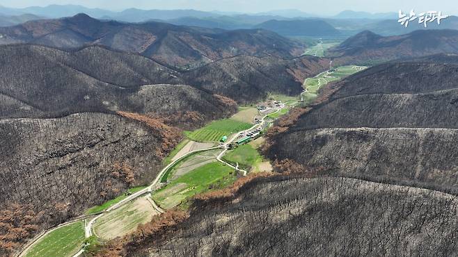 뉴스타파가 촬영한 경북 영덕군의 산불 피해 현장, 마을 주변의 산 능선이 검게 그을려 푸른 빛을 잃었다.