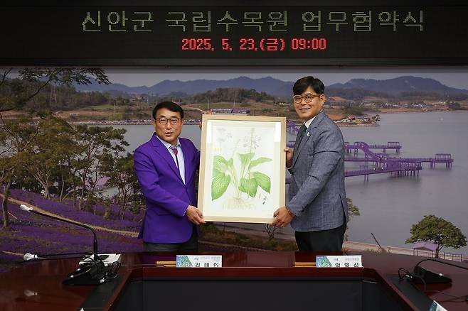 신안군과 국립수목원 업무협약식에서 임영석 국립수목원장(오른쪽)이 김대인 신안군수 권한대행(왼쪽)에게 흑산도비비추 세밀화를 전달한 뒤 기념촬영을 하고 있다. 신안군 제공