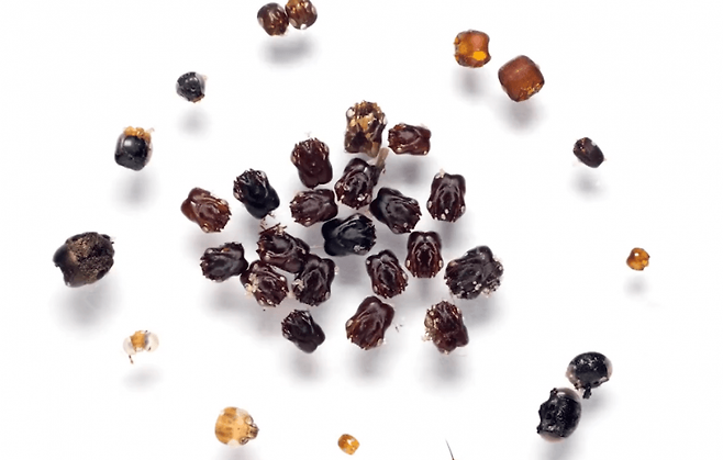 a15714ab041eb360be3335625683746f0153452cd6a4ec89d63066f29c11cd6e3f7786f30237fd0c020034c78918