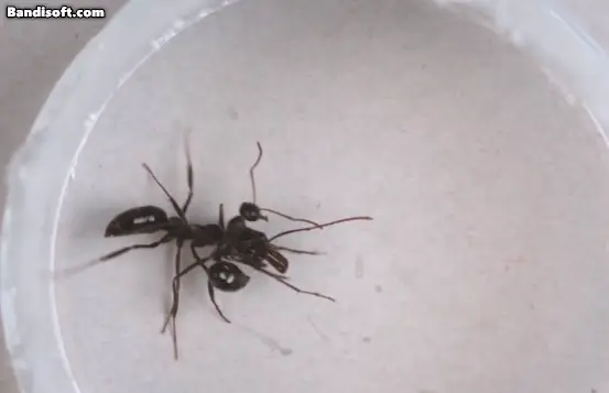 05b2de23fcd139ab2eed86e7439c74686ccd1122b70f47d6bf365f33b5fbd141407a9cb6c8d1bd8593ad8eb93a51