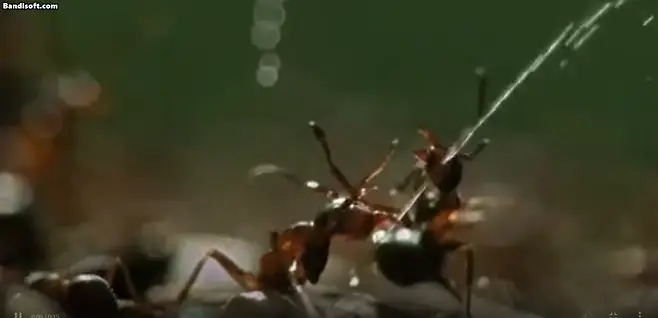 05b2de23fcd139ab2eed86e7439c74686ccd1122b70f47d4b8365938b5fbd1414849803f3a8dbbefe2d0ea8182b166