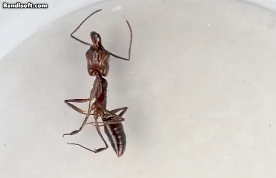 05b2de23fcd139ab2eed86e7439c74686ccd1122b70f47d4ba365e31b5fbd141a15041c68ecb3803db7996137eaa