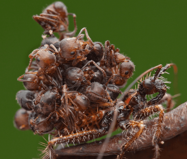 7cea847eb68069f53de798a518d604037e1c40989766e3ffafdb