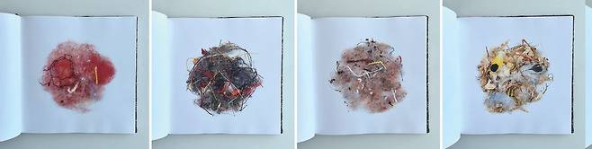 오스트리아 사진가 클라우스 피클러(Klaus Pichler)가 클로즈업을 통해 들여다보기로 한 대상은 우리 주변 어디에나 있는 흔한 먼지였다. 그는 빈 곳곳의 아파트, 카페, 식당, 애완동물 가게, 공장, 미술관, 박물관, 호텔, 수술실 등 다양한 장소에서 꼼꼼히 수집한 먼지, 보풀, 오물 뭉치를 세밀하게 찍은 사진을 책 ‘먼지(Dust)’에 담았다. /사진 김진영