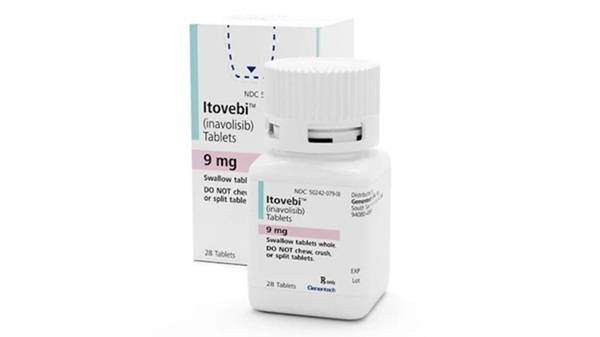 이토베비/사진=로슈