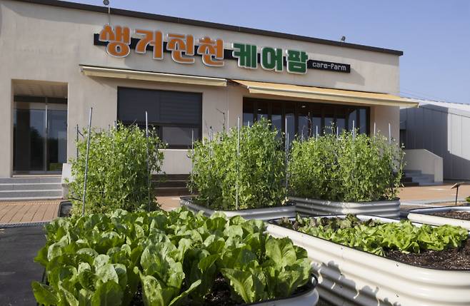 충북 진천군 ‘생거진천 케어팜’. 보건복지부 제공
