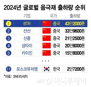 2024년 글로벌 음극재 출하량 순위/그래픽=이지혜