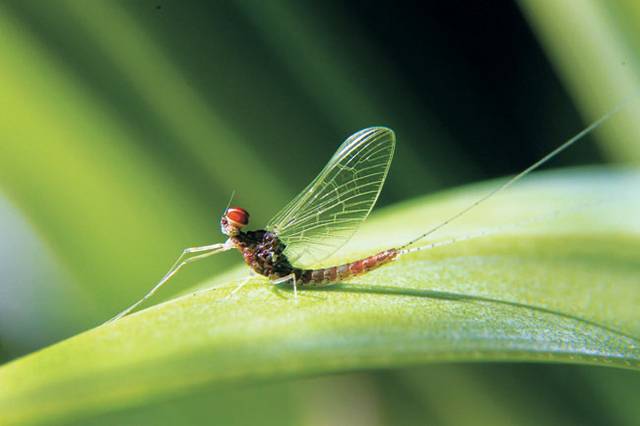 게티이미지뱅크