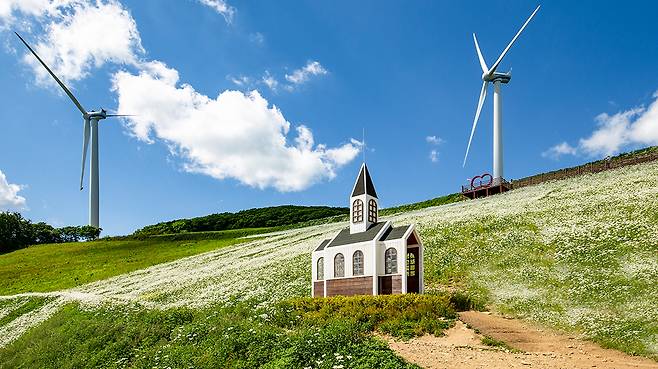 평창 육백마지기는 사진작가들의 단골 출사지이다.