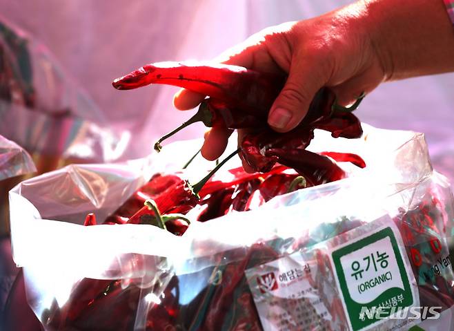 [서울=뉴시스] 28일 서울광장에서 열린 '2022 영양고추 핫 페스티벌'에서 시민들이 고추를 살펴보고 있다. 2022.08.28. chocrystal@newsis.com