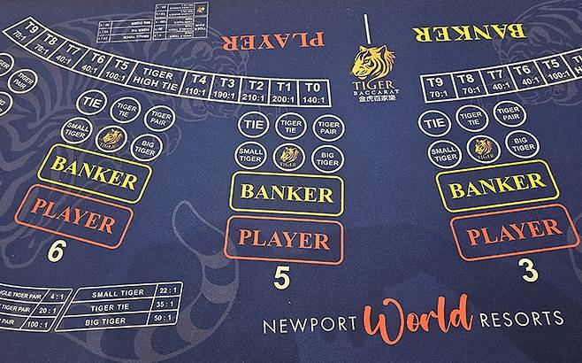 필리핀 카지노 바카라 테이블에는 '타이 이벤트'가 다양하게 진행되고 있다. 타이 배당금이 최소 40배부터 최대 210배까지 구분된다.(사진=뉴시스) *재판매 및 DB 금지