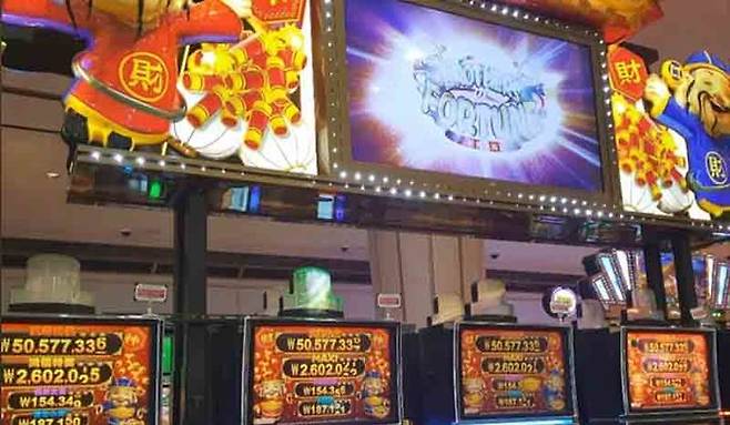 강원랜드에서 가장 인기가 많은 왕서방 슬롯머신. 고객은 넘쳐나는데 머신과 테이블 좌석이 부족해 365일 고객불편이 끊이지 않는다.(사진=독자 제공)  *재판매 및 DB 금지