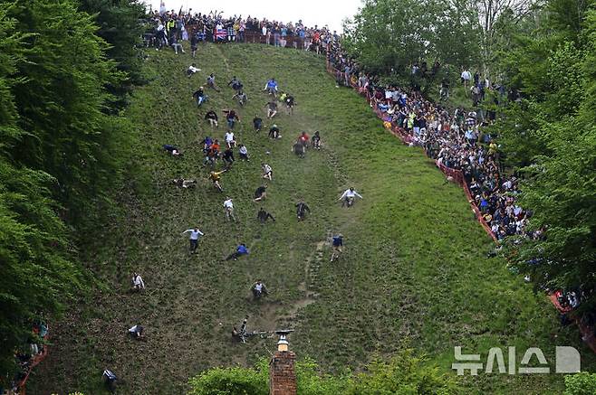 [브록워스=AP/뉴시스] 26일(현지 시간) 영국 글로스터셔주 브록워스의 쿠퍼스 힐에서 연례  치즈 굴리기 대회가 열려 남자부 참가자들이 언덕을 굴러 내려오고 있다. 이 대회는 약 180m 거리의 가파른 언덕에서 구르는 치즈를 잡아 결승선에 먼저 들어오는 사람이 우승하는 경기이다. 2025.05.27.