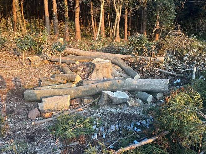 [제주=뉴시스] 훼손된 제주 넉시오름 모습. (사진=제주도자치경찰단 제공) *재판매 및 DB 금지