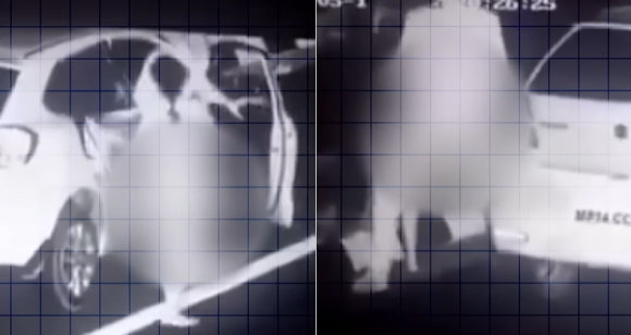 인도의 고속도로에서 한 남녀가 성관계하는 영상이 온라인상에 확산한 가운데 정당인과 교사 간 부적절한 관계라고 알려지면서 공분을 사고 있다. 사진은 지난 13일(현지시간) 인도 중부 마디아프라데시주 만드소르 인근 고속도로에서 남녀가 차에서 내려 성행위를 하는 모습이 포착된 감시카메라 영상 일부. 인도 뉴스24 유튜브 캡처