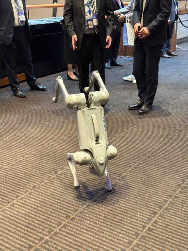 유니트리의 사족 보행 로봇 G02의 물구나무 서기 동작 /천민아 기자