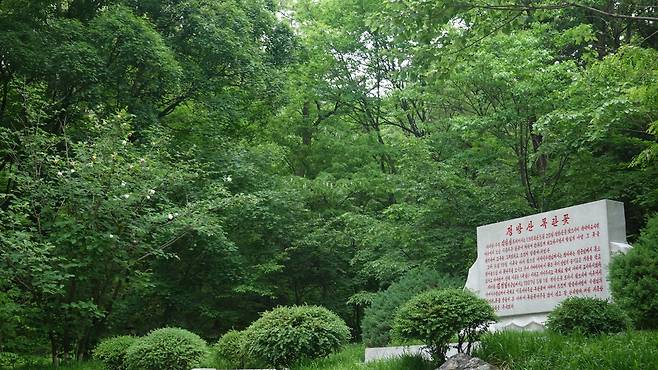 정방산에 핀 북한 국화 목란꽃(함박꽃) [주북 중국대사관 제공. 재판매 및 DB 금지]