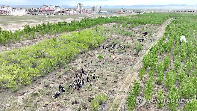 몽골에 조성된 '대한항공 숲' [연합뉴스 자료사진]